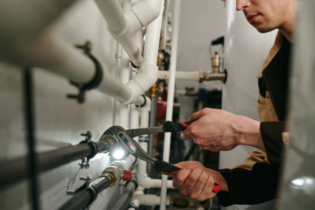 Best Residential Plumbing Services  in La Crescent, MN