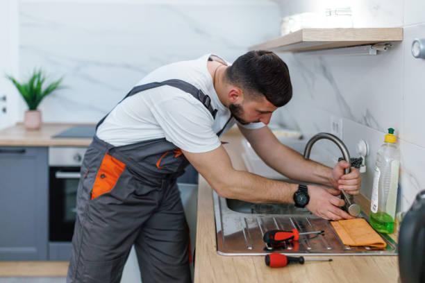 Best Emergency Plumbing Repair  in La Crescent, MN