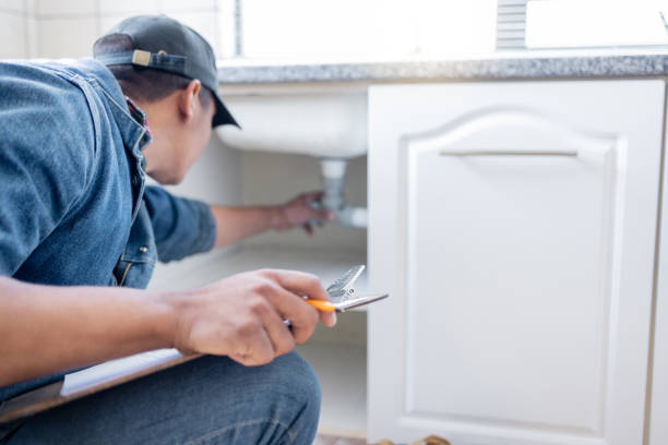 Best Toilet Repair Services  in La Crescent, MN