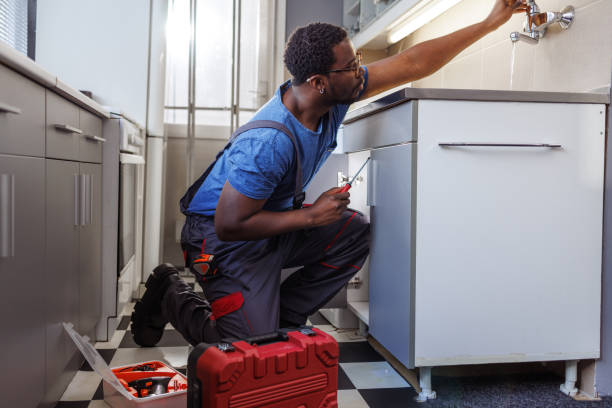 Best Shower Repair Services  in La Crescent, MN
